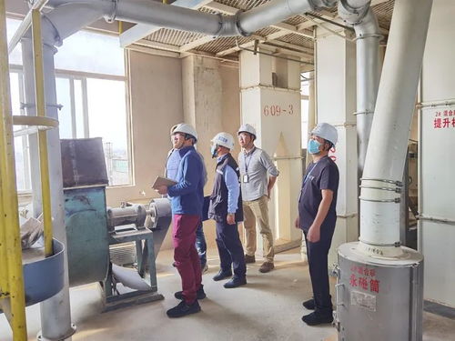 早安，阳江！优质初级农产品斩获多项大奖，品牌实力再“出圈”