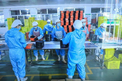 宁夏农产品再获市场青睐 全国特色农产品经销商宁夏行第二季签约近19亿元