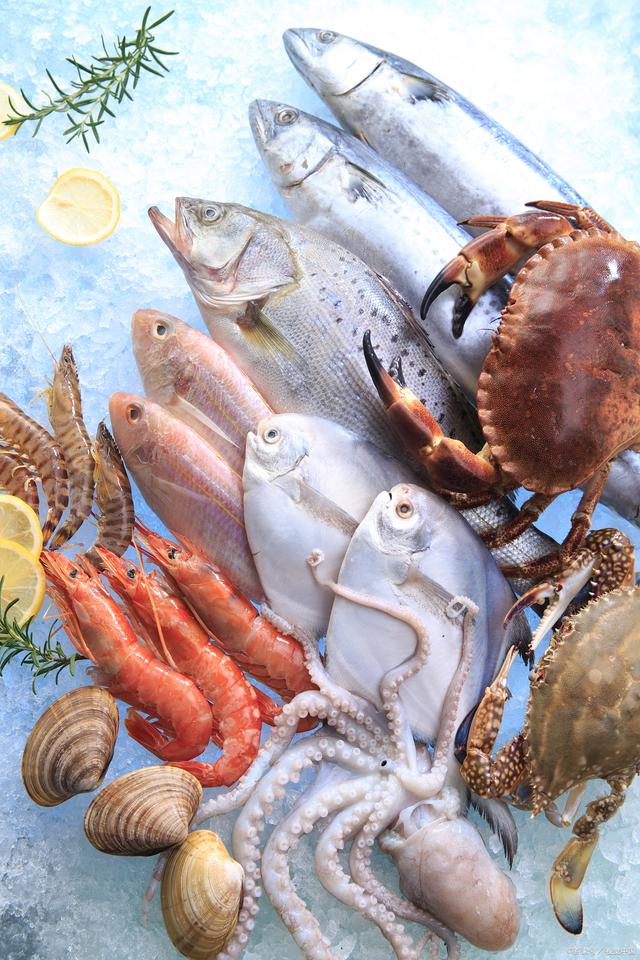 进口水产品通关全攻略 开启安全与美味之旅