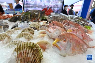 共话渔业新篇章 2022海峡(福州)渔业周·中国(福州)国际渔业博览会盛大启幕