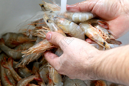 水产品 海洋的馈赠与人类饮食的瑰宝