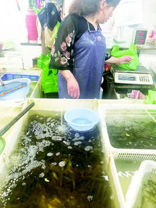 水产品成缺斤少两多发地，监管与诚信双缺失亟待解决