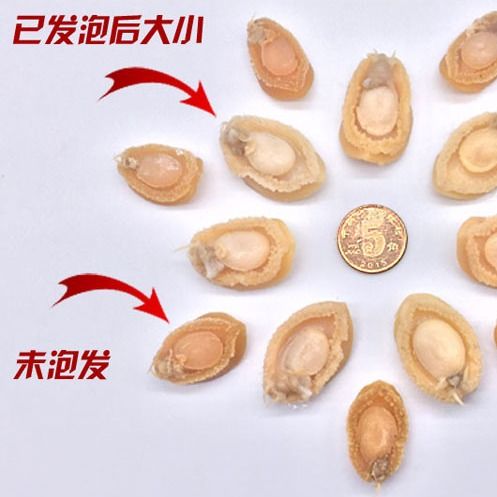 鲍鱼干湛江特产天然鲍鱼干 小干鲍 水产品海产品佛跳墙干货